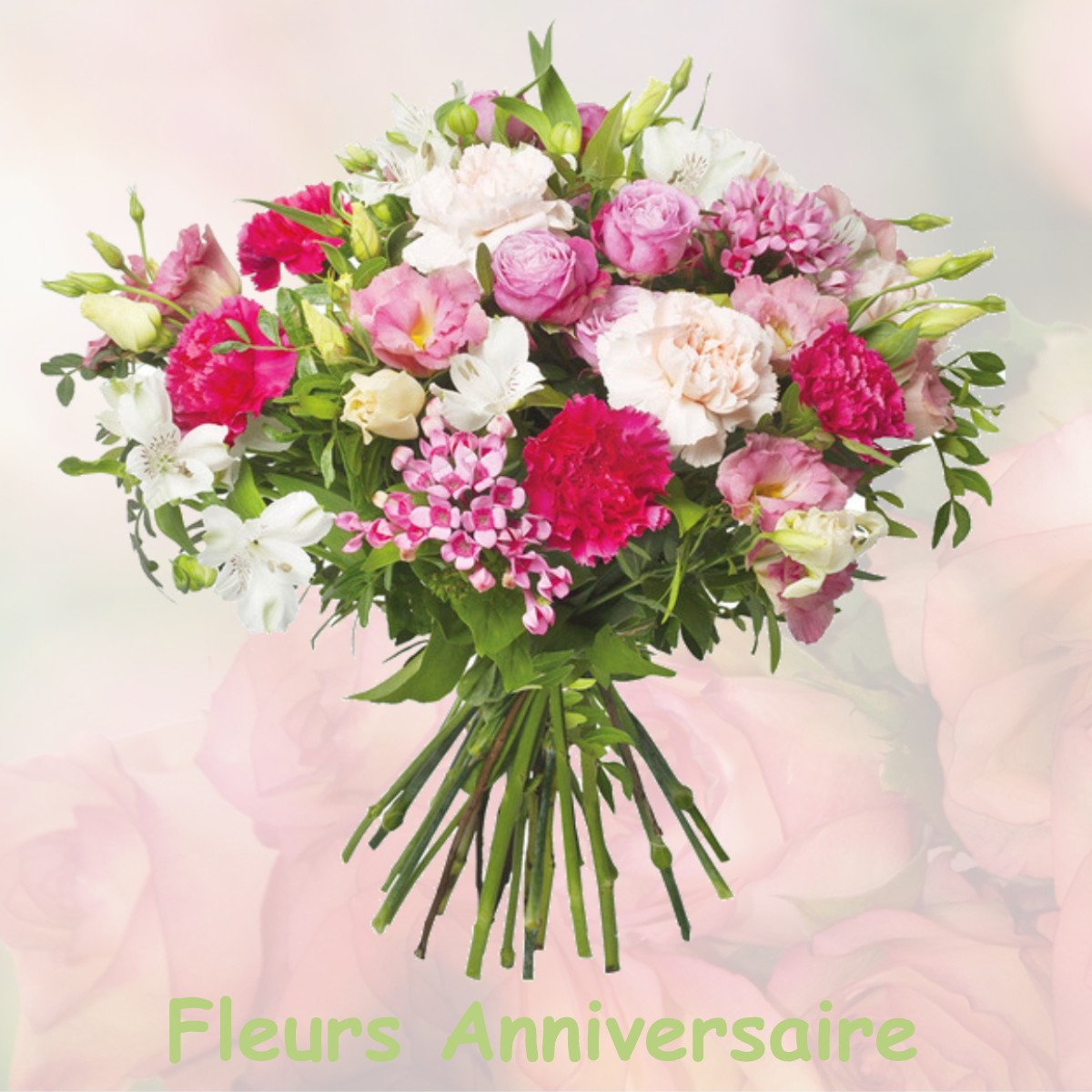 fleurs anniversaire BROUSSEVAL